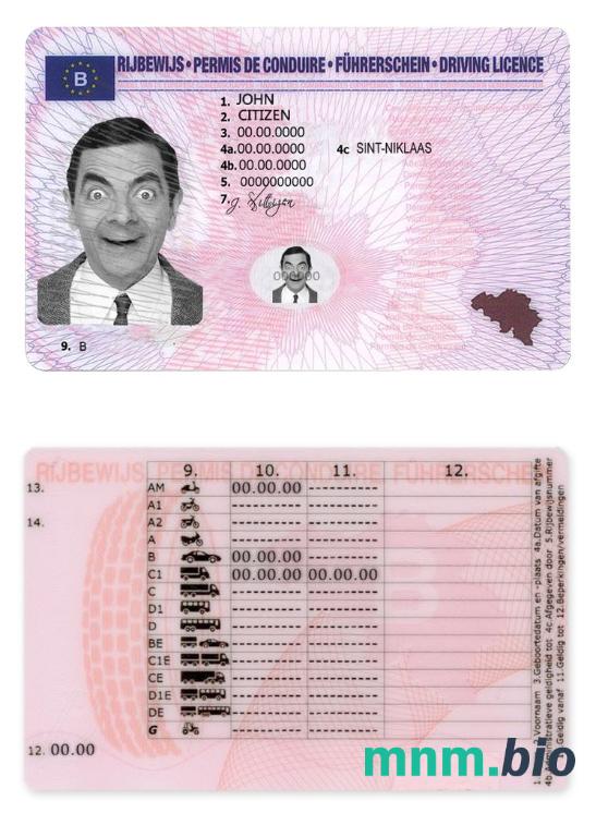 Szablon prawa jazdy w Belgii w formacie PSD, ze wszystkimi czcionkami